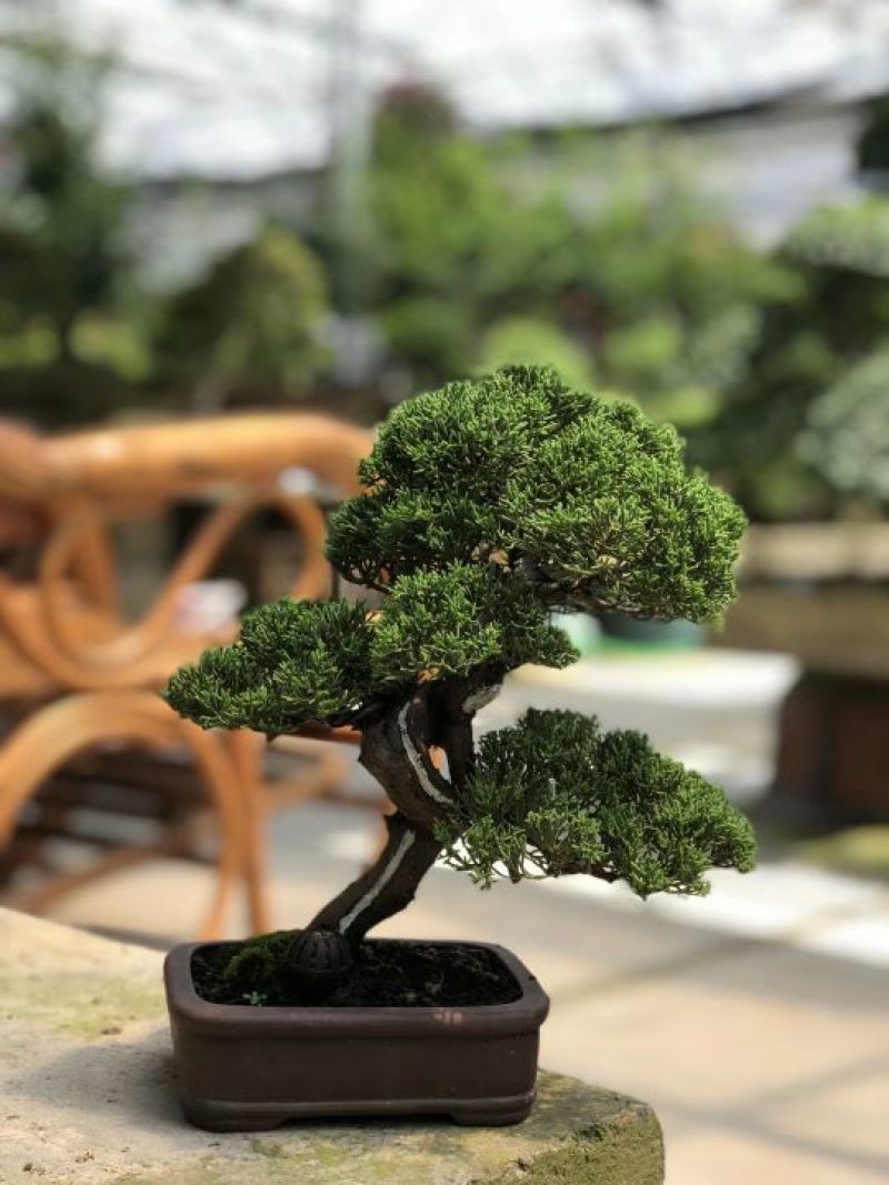 精品