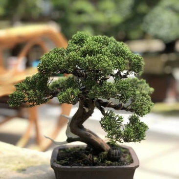 精品