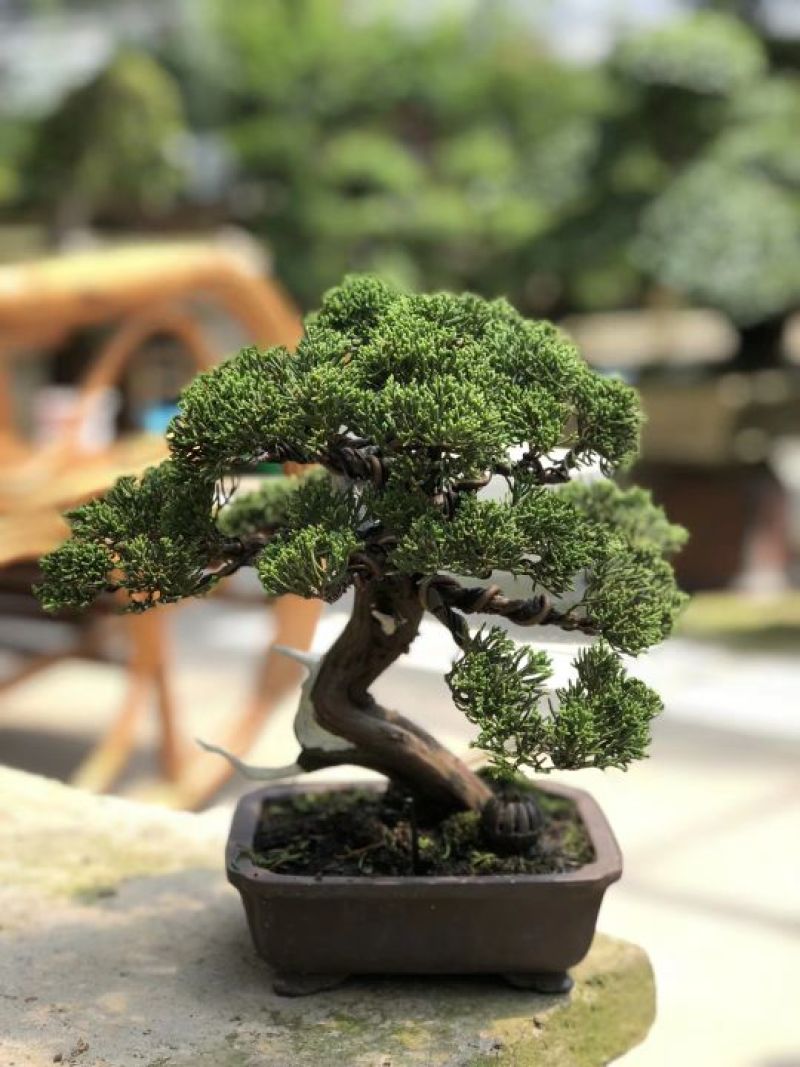 精品
