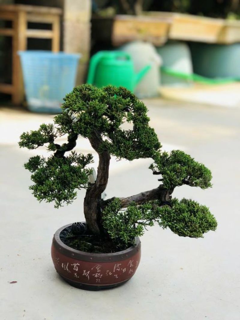 精品