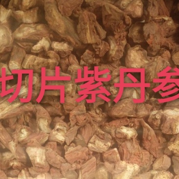丹参100斤起批