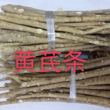 黄芪