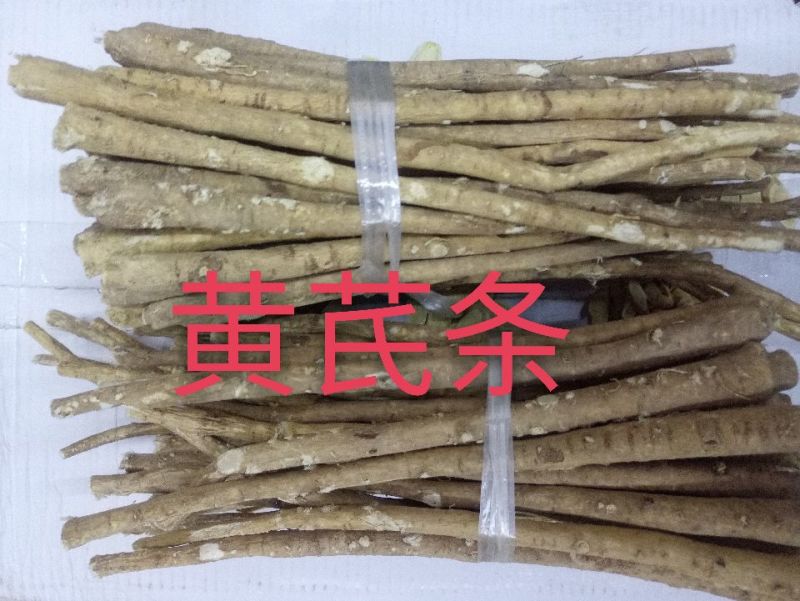 黄芪