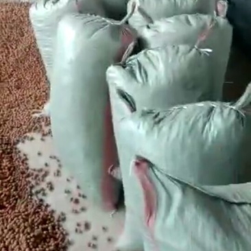 桃胡