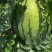 京欣新花王