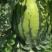 京欣新花王