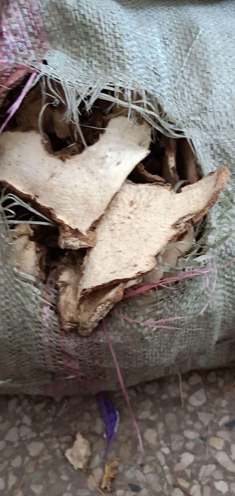 绵萆薢片