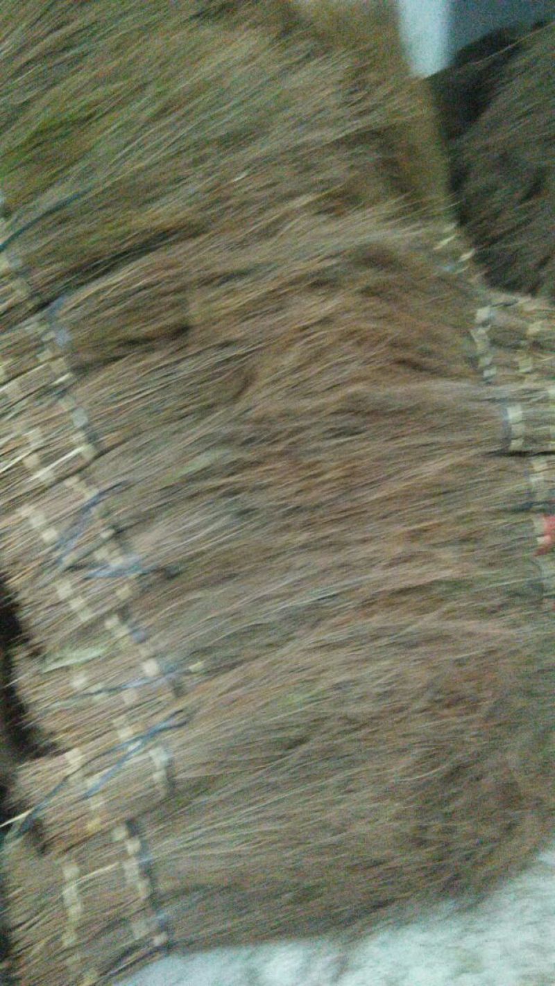 独脚金