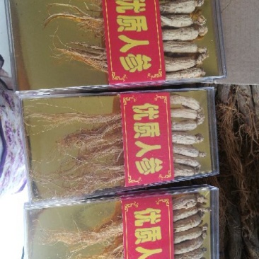 独脚金，五指根，牛薯根，请联系