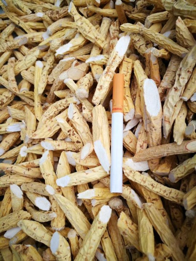 独脚金，五指根，牛薯根，请联系
