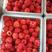 树莓，红树莓果，双季树莓鲜果