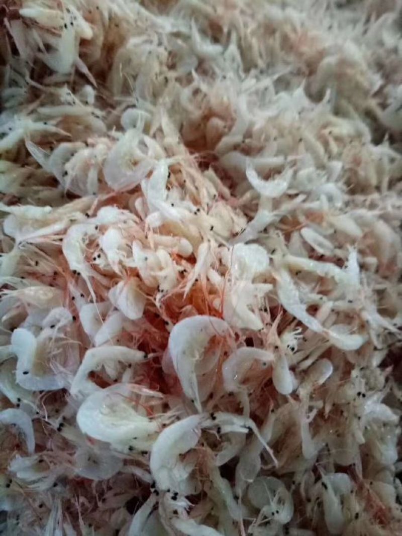 虾皮