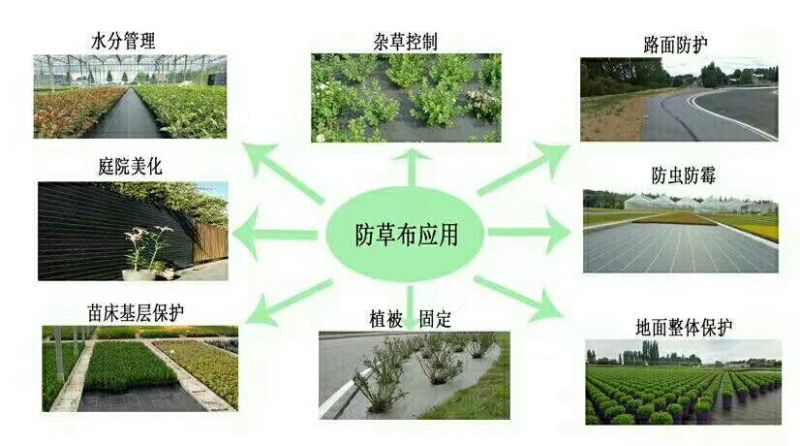 pe聚乙烯再生料除草布