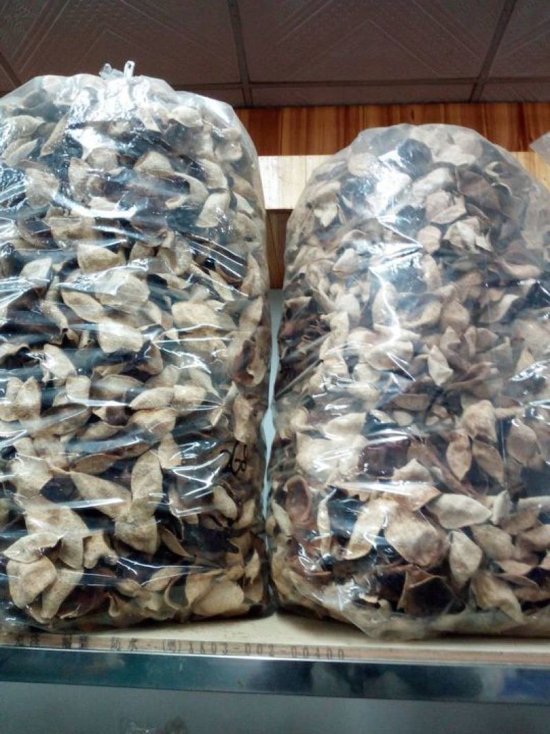 正宗广东新会陈皮五年皮两年皮