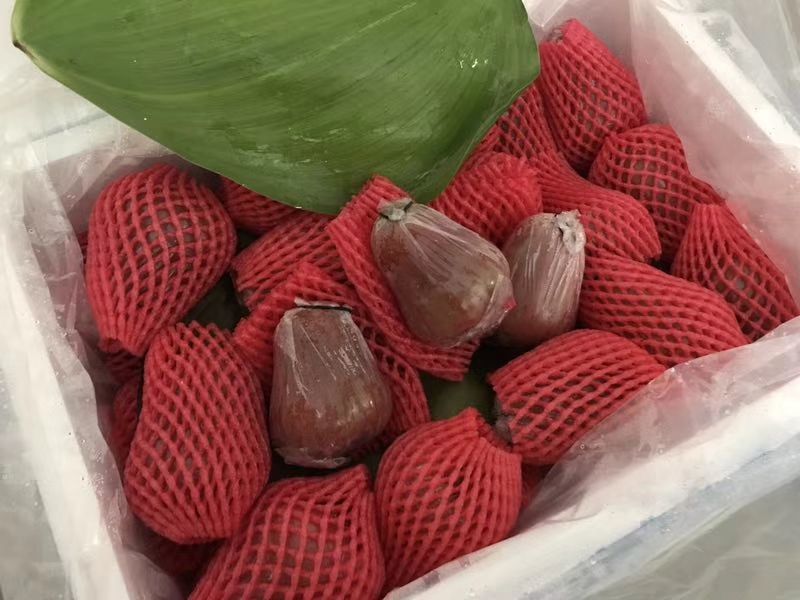 莲雾