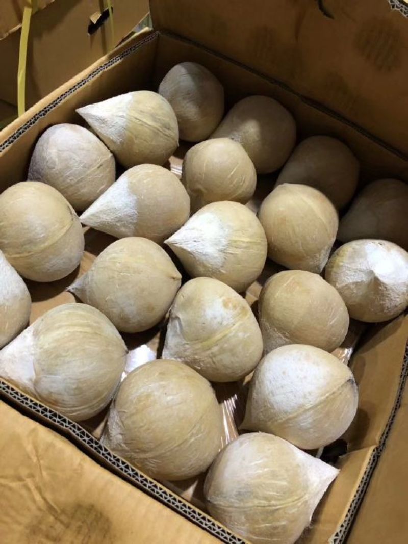 泰国椰皇