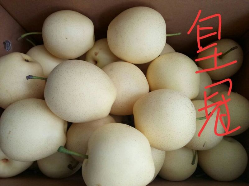 皇冠
