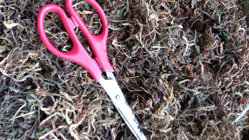 贵州铜仁野生无硫带毛金银花干货毛银花干无杂质忍冬藤叶