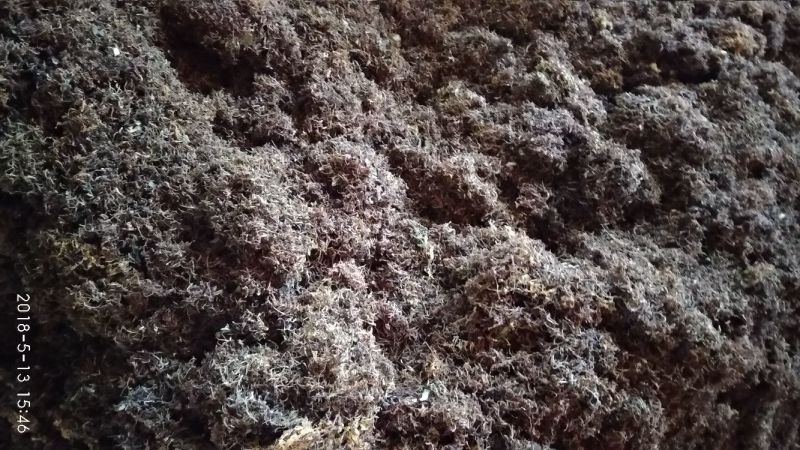 贵州铜仁野生无硫带毛金银花干货毛银花干无杂质忍冬藤叶