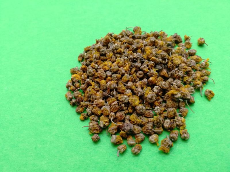 野菊花纯野生黄菊花茶小颗粒苦包含量原产地一手货源