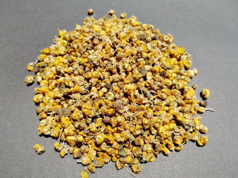 野菊花产地一手货源小颗粒包含量