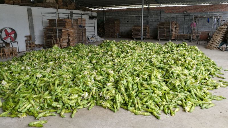 【爆款】广西农家新品干剑花(新鲜霸王花干)保质保量