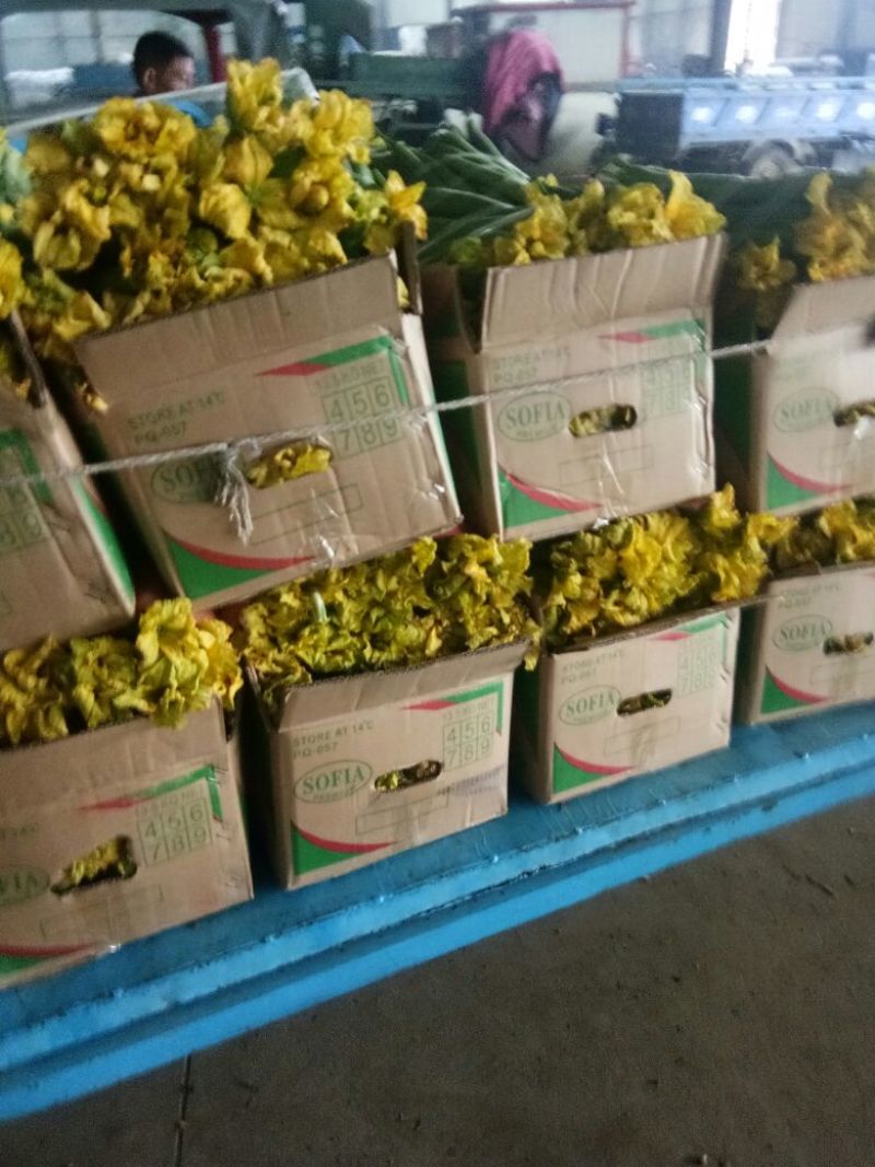 鲜花丝瓜