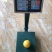 金霸黄金百香果种苗10~20cm