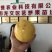 金霸黄金百香果种苗10~20cm