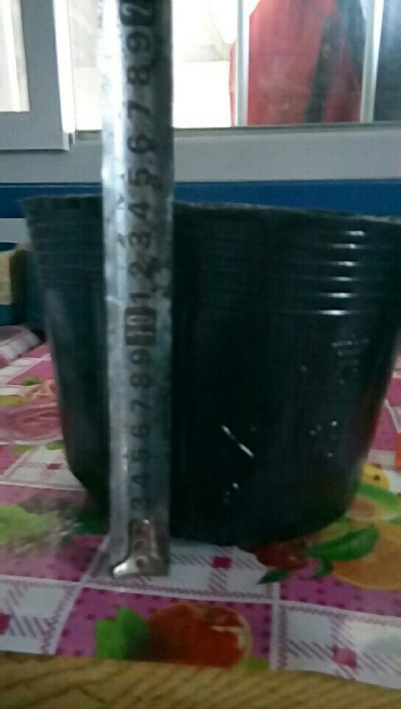 各种型号营养杯双色盆