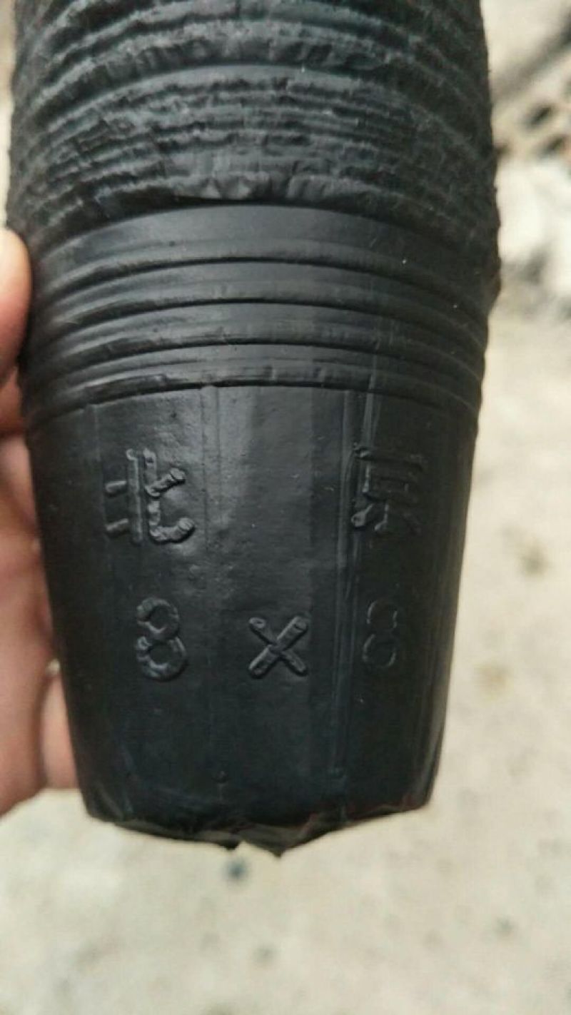 各种型号营养杯双色盆
