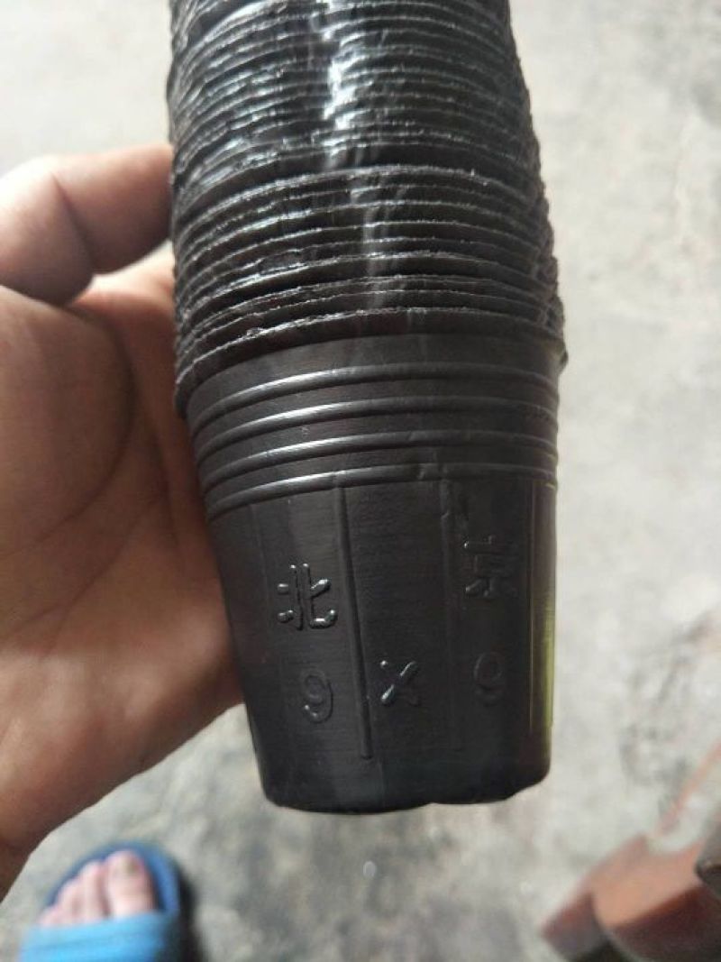 各种型号营养杯双色盆