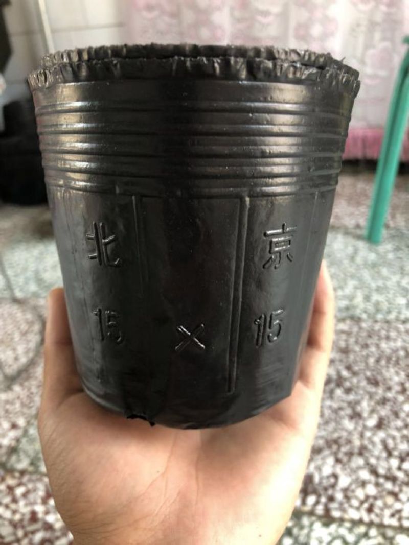 各种型号营养杯双色盆