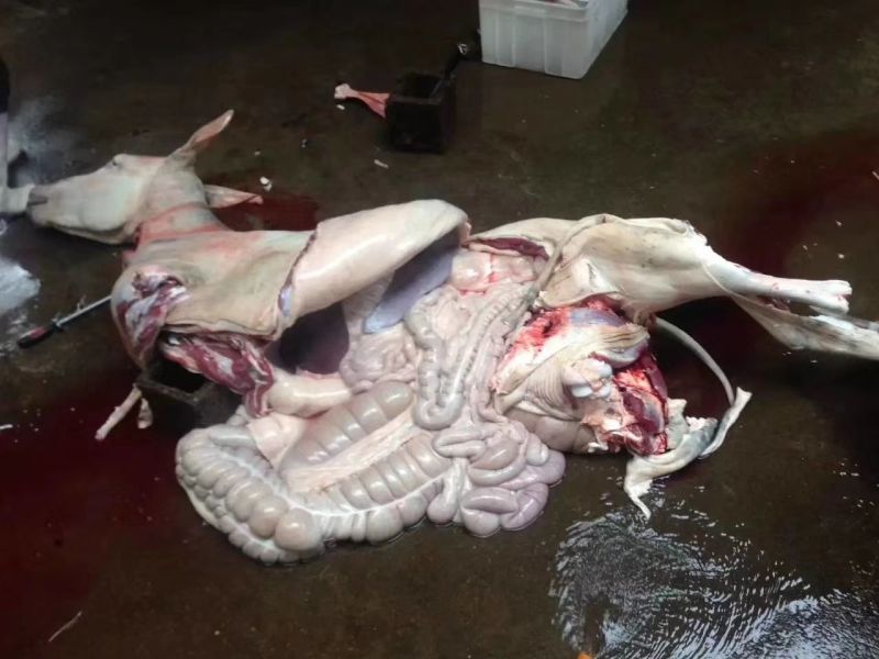 驴肉