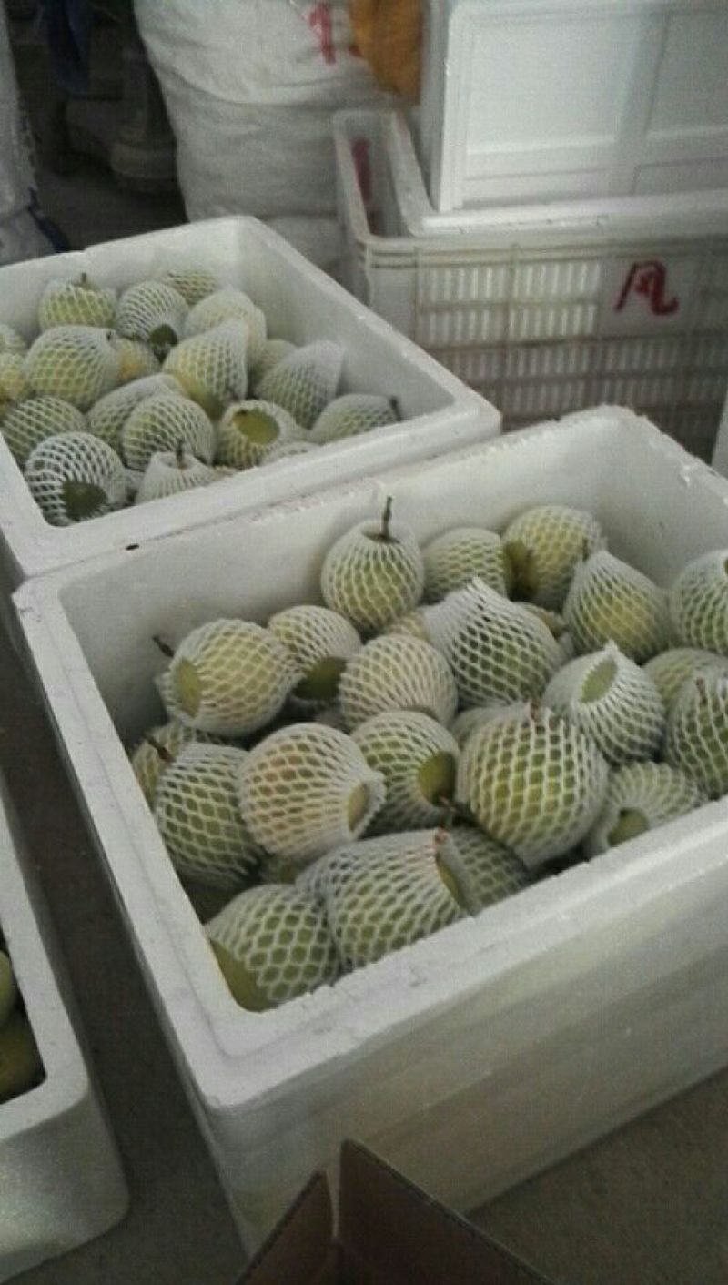 黄金百香果