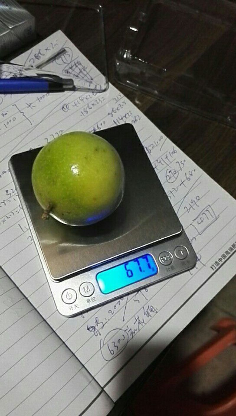 黄金百香果