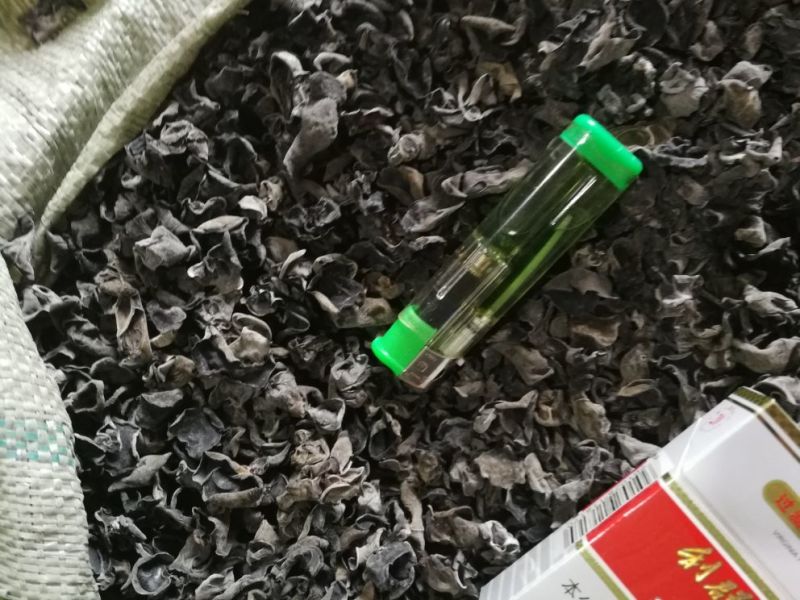 秋木耳