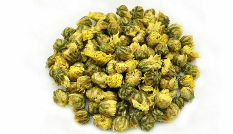 300多亩杭白菊等着老板带回家