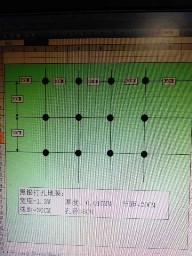 地膜，无公害，可降减打孔地膜，多色可选，蔬菜花卉等