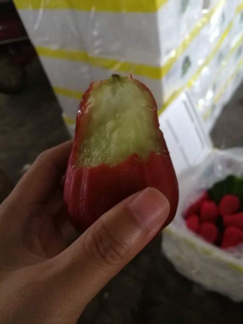 越南莲雾