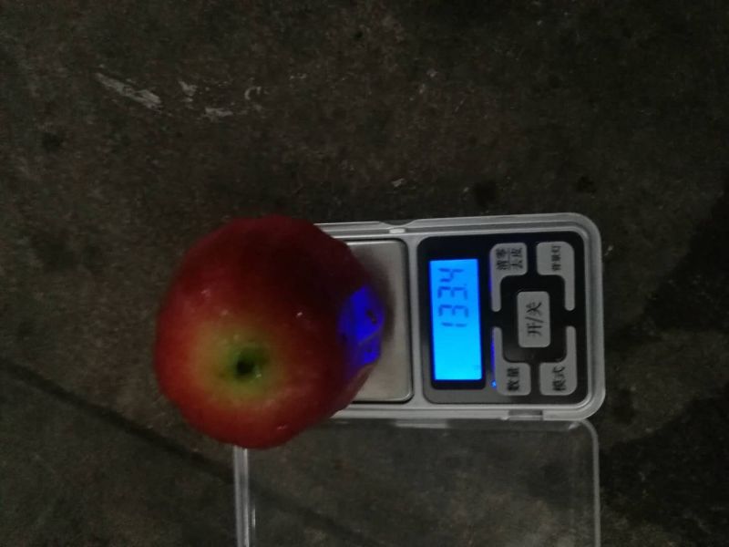 越南莲雾