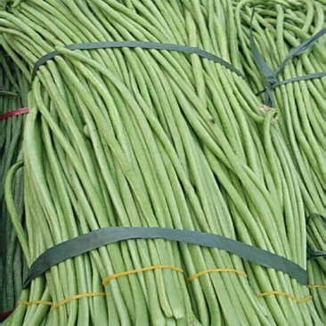 基地直供，长豆角，价格公道
