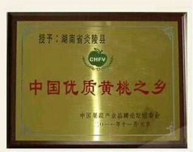 炎陵黄桃
