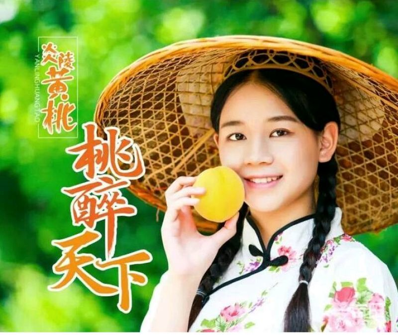 炎陵黄桃