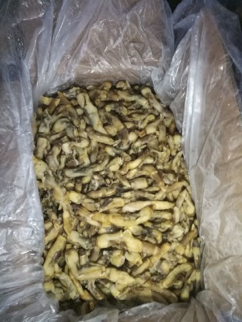 海蛏子，竹蛏子，刀把蛏子。