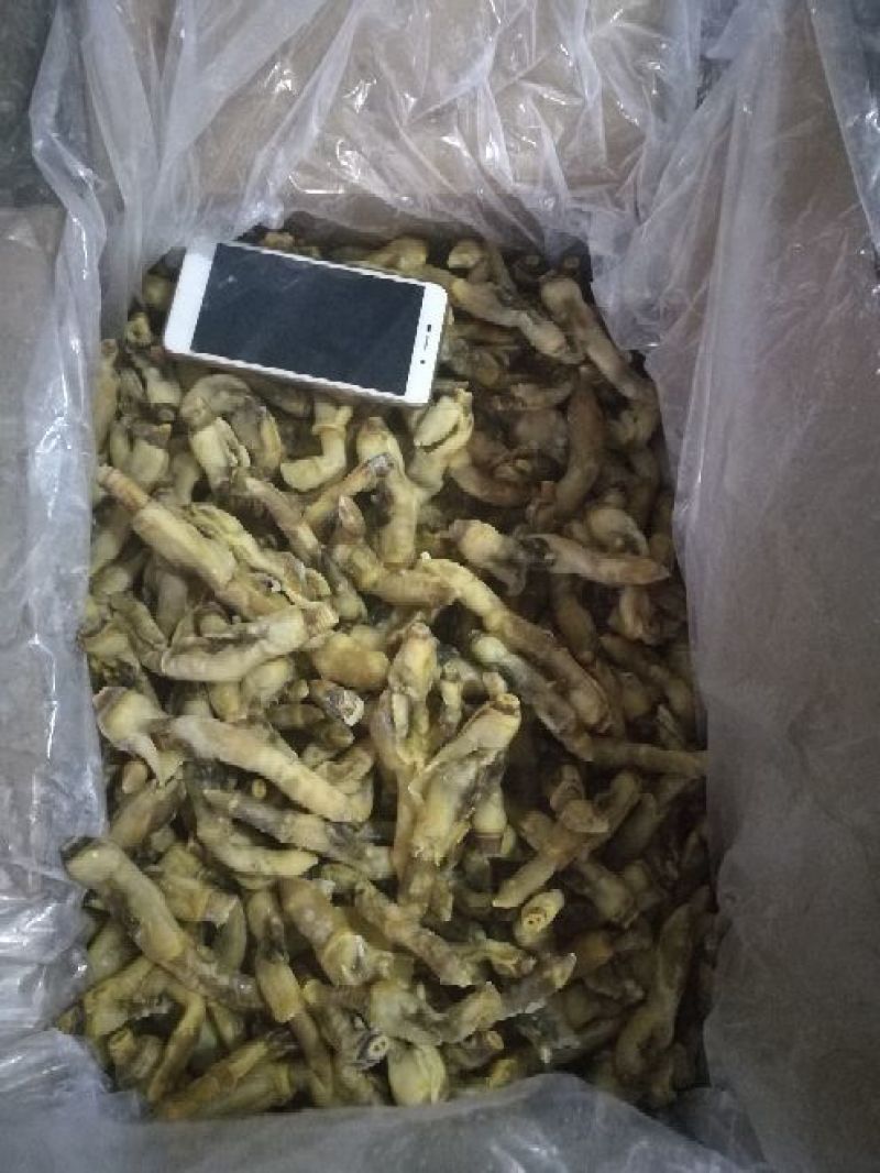 海蛏子，竹蛏子，刀把蛏子。