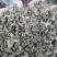 新疆罗布麻散货大量批发
