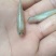 供应大量小黄鱼