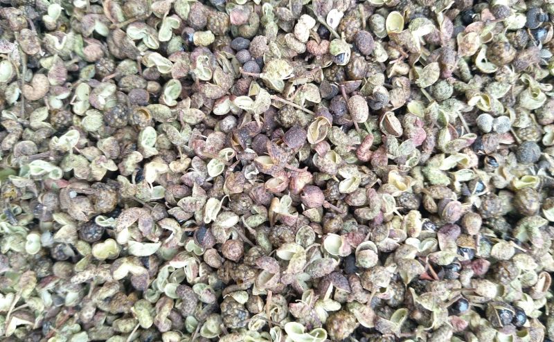 (百万商家)实图拍摄，青花椒特级干.净货量大优惠