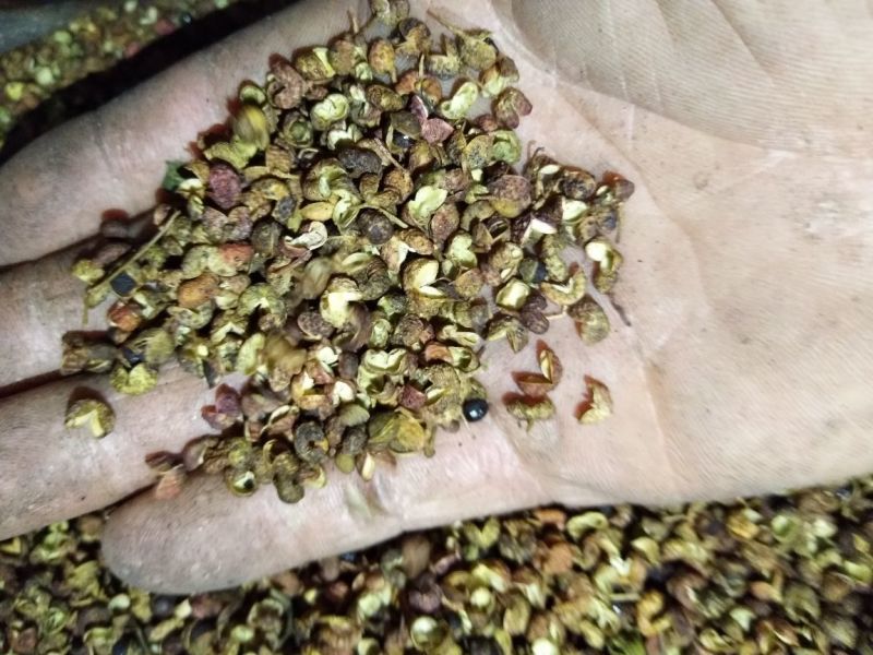 (百万商家)实图拍摄，青花椒特级干.净货量大优惠